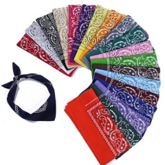 Tube Bandanna