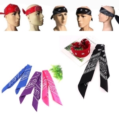 Tube Bandanna
