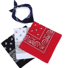 Tube Bandanna