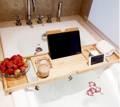Collapsible Bathtub Tray
