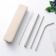Stainless Steel Straw
