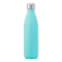 17 oz Stainless Steel Bottle