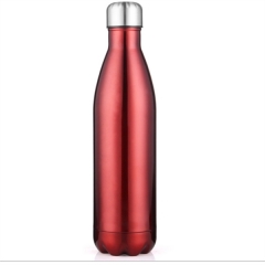 17 oz Stainless Steel Bottle