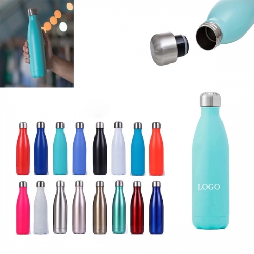 17 oz Stainless Steel Bottle