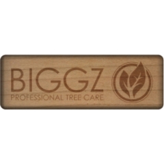 Wooden Badge