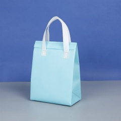 Custom Insulated Food Take Away Bags
