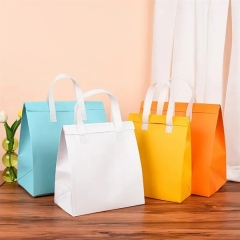 Custom Insulated Food Take Away Bags