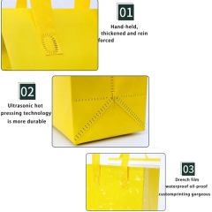 Custom Insulated Food Take Away Bags