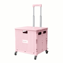Stair Climber Wheeled Rolling Crate