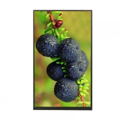 IPS Display Screen